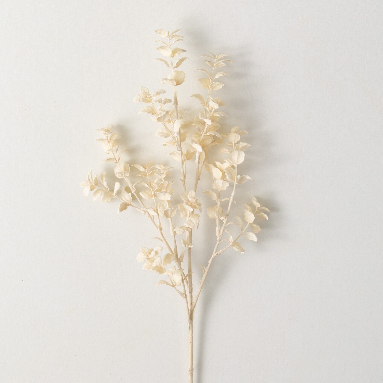 Sullivan's Fittonia Spray, Cream Faux Floral Stem for Crafting, Weddings, Home and Holiday Decoration, 26.5 Inch